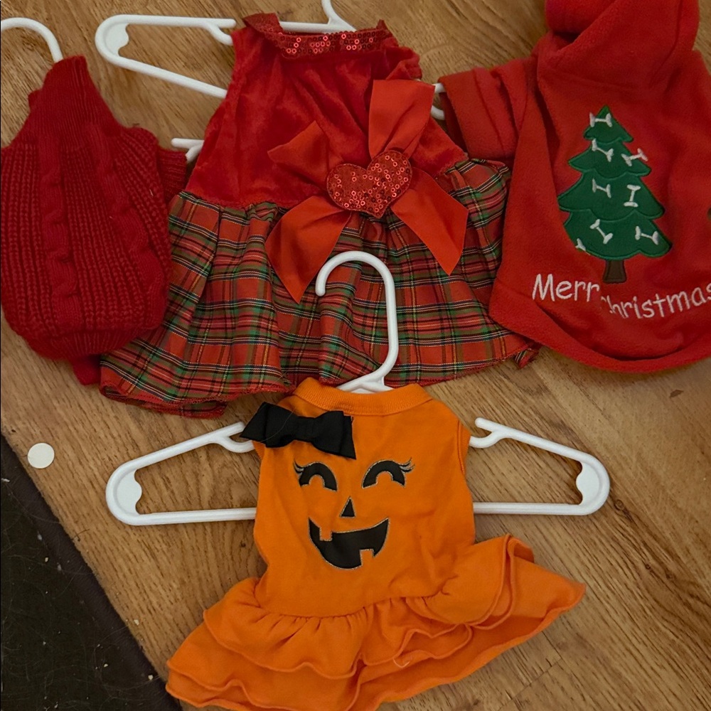 Amazon Festive Halloween/Christmas Dog Clothing Set - Red and Orange